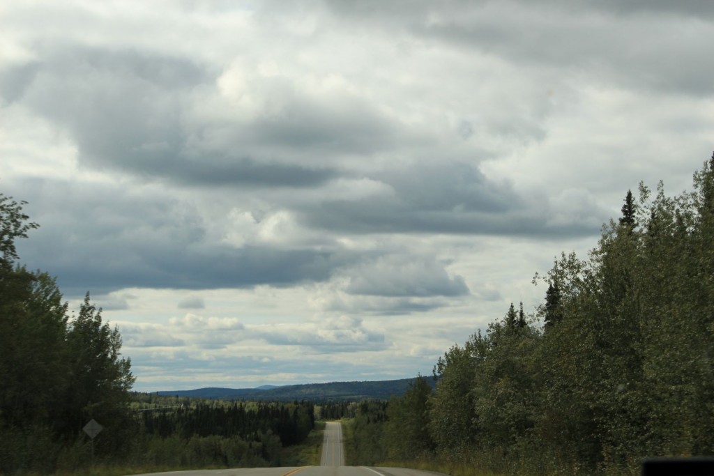 on the road to Denali Wildlive Park
