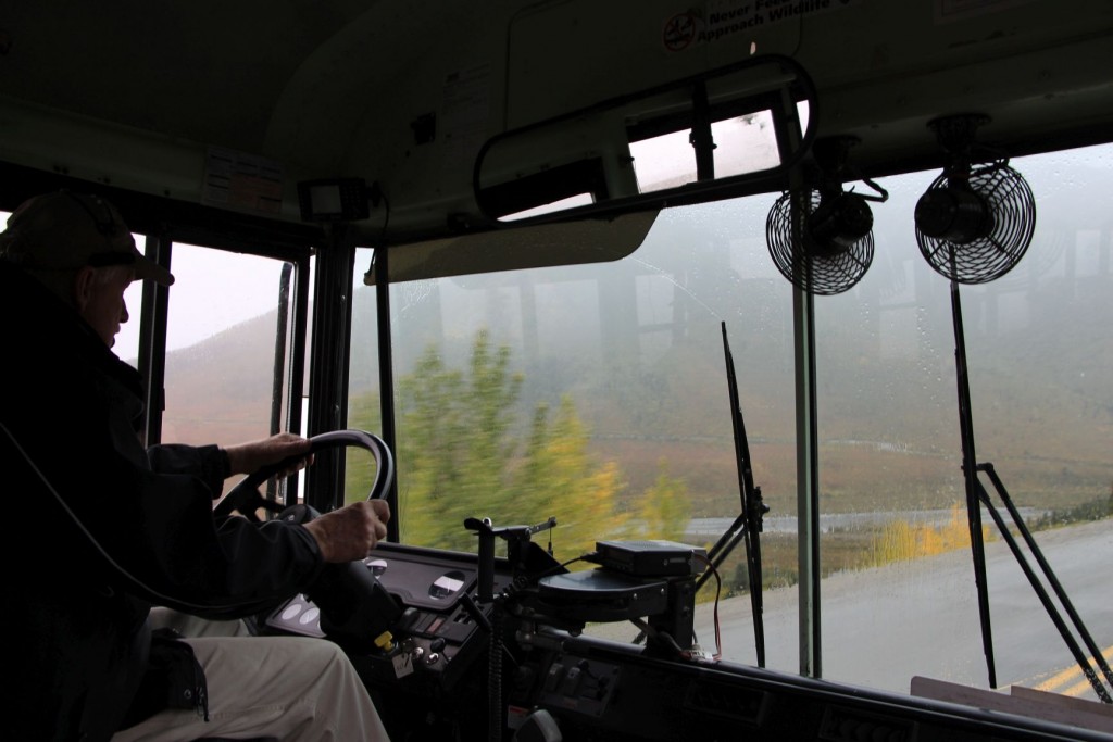 Tag 2 im Denali, s Wetter isch no schlechter. Mer mached en Bustour...