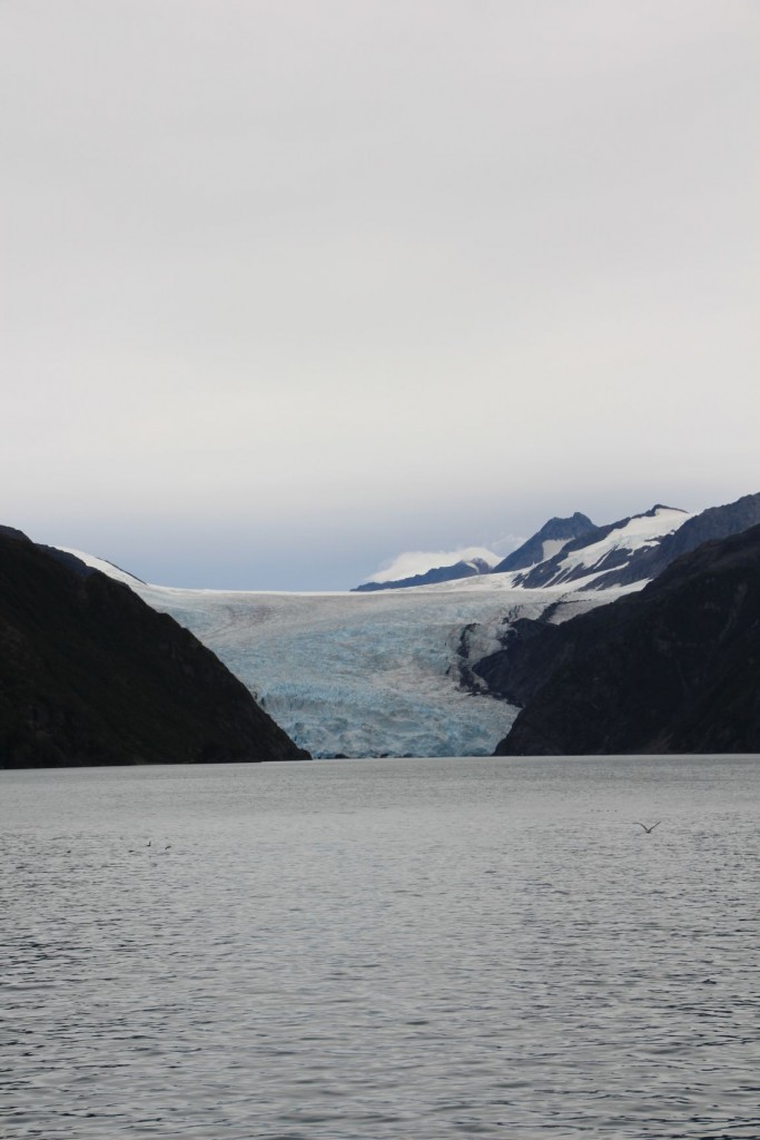 Aialik Glacier