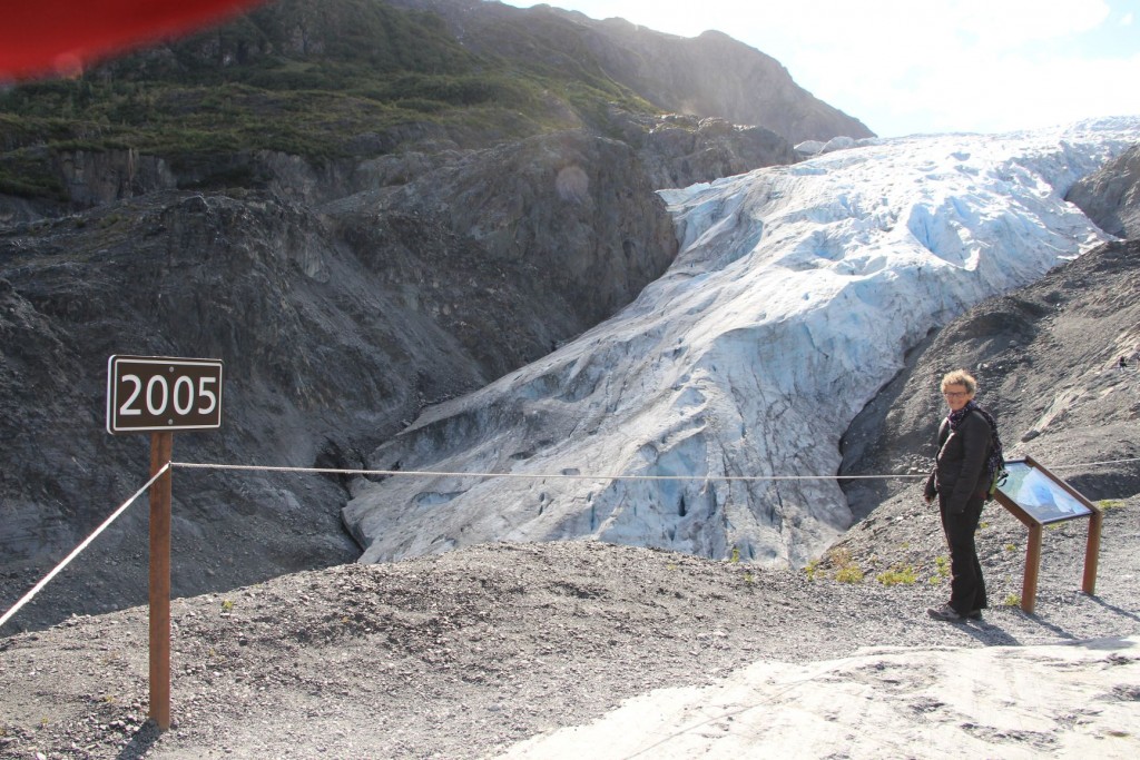 Am Exit Glacier