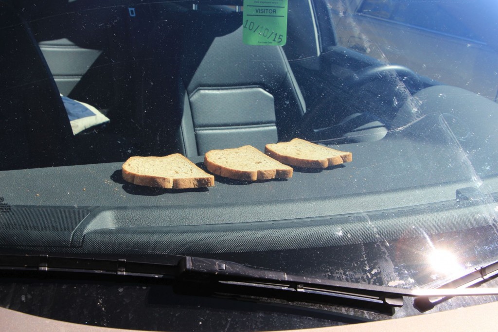 nöd üsi Toasts...