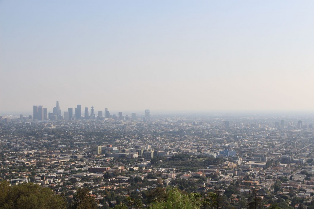IMG_0894